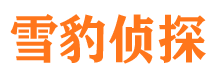 洛隆外遇调查取证